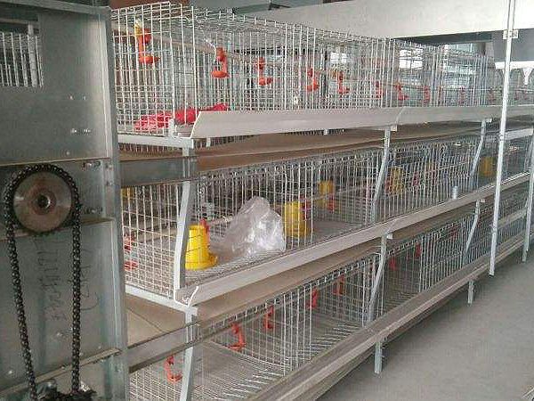 層疊式肉雞養(yǎng)殖設備